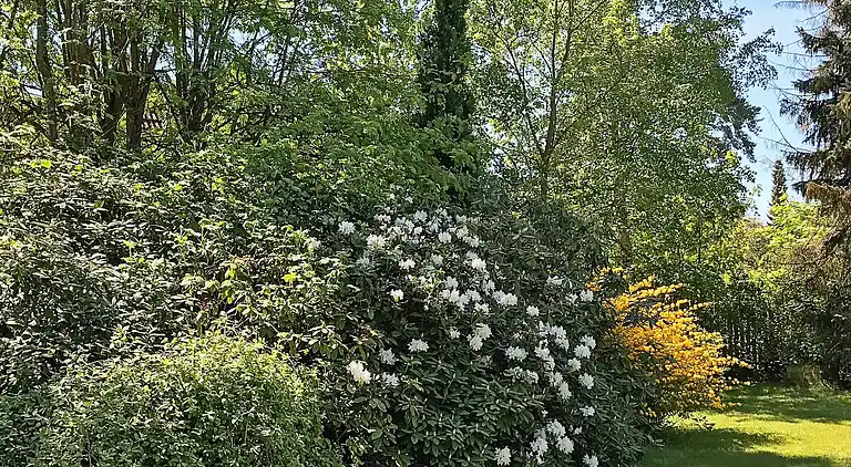 Sommerhus i Hornbæk