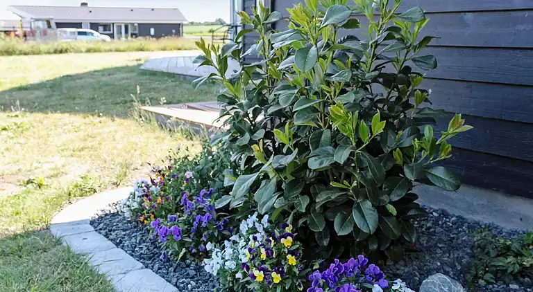 Sommerhus ved Mommark Strand