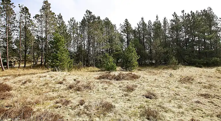 Holiday home in Jerup