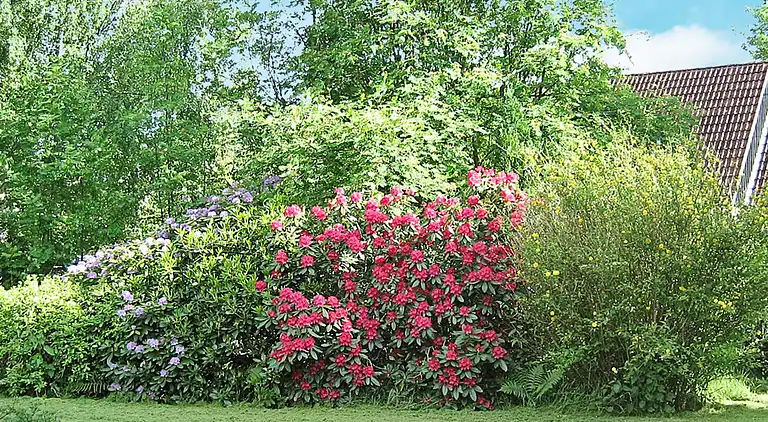 Sommerhus i Hornbæk