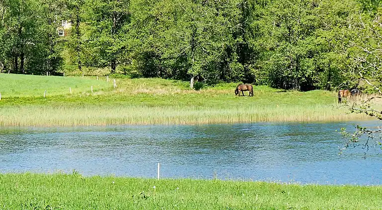 Holiday home in Falkenberg N