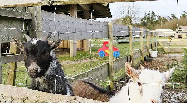 Ferienhaus in Struer