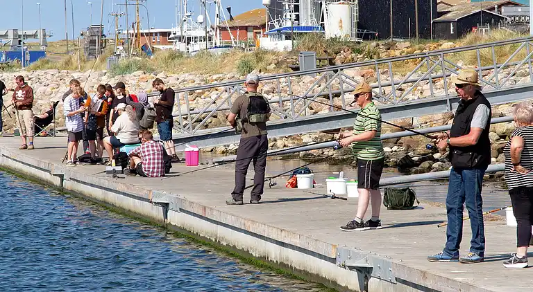 Vakantiehuis in Ringkobing