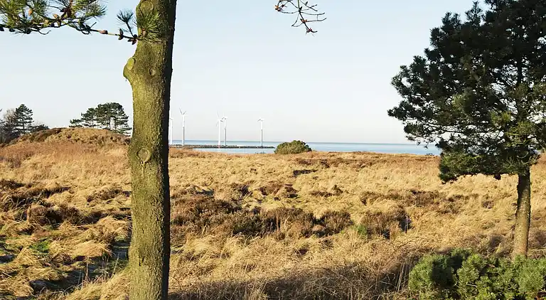 Sommerhus ved Bønnerup Strand