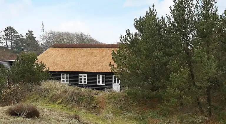 Holiday home in Blåvand