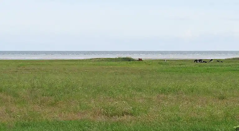 Holiday home in Sæby