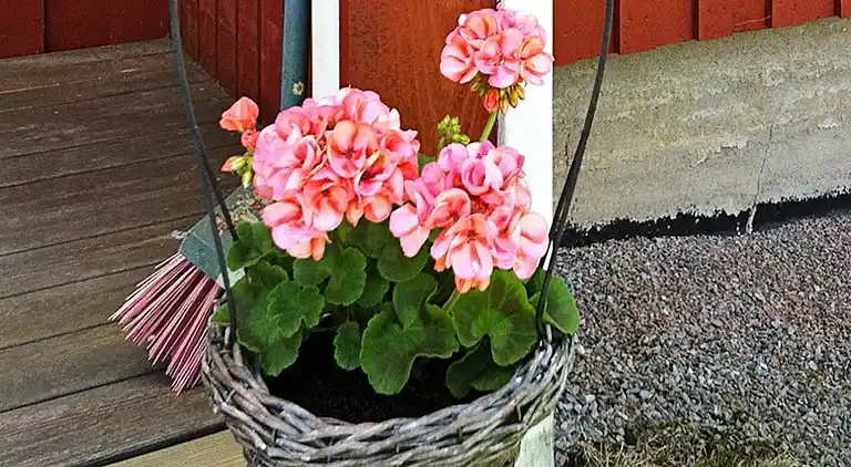 Casa vacanze in Orust