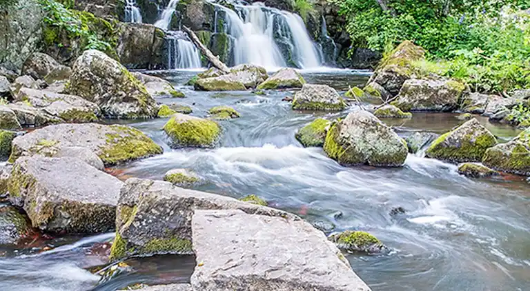 Sommerhus i Tomelilla N