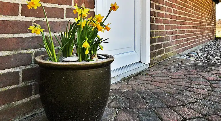 Sommerhus i Nørre Fjand