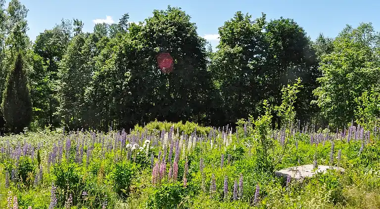 Ferienhaus in Gårdserud