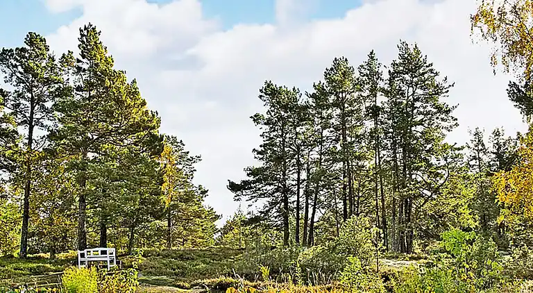 Holiday home in Norrtälje