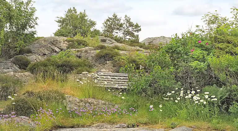 Sommerhus i Västra Götaland