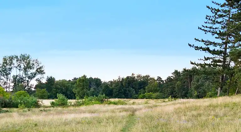 Casa vacanze in Gørlev