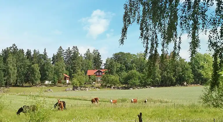 Sommerhus i Väsby