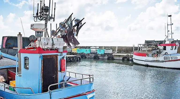 Sommerhus i Sømarken