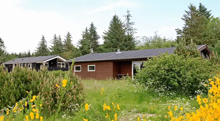 Holiday home in Fjerritslev