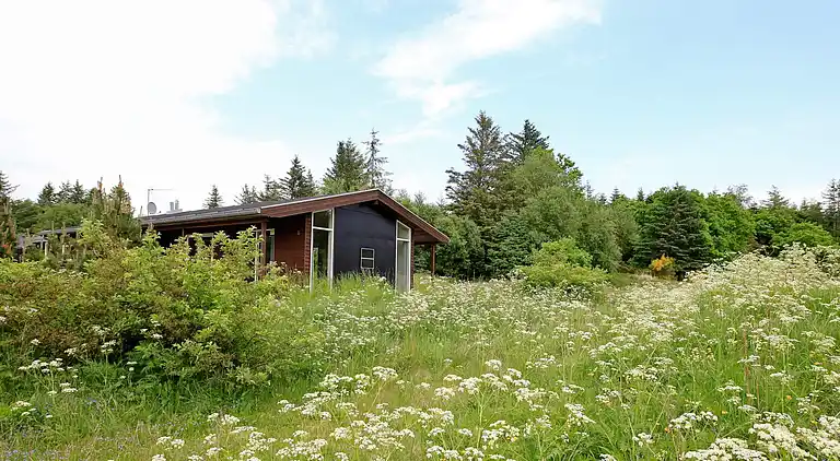 Holiday home in Fjerritslev