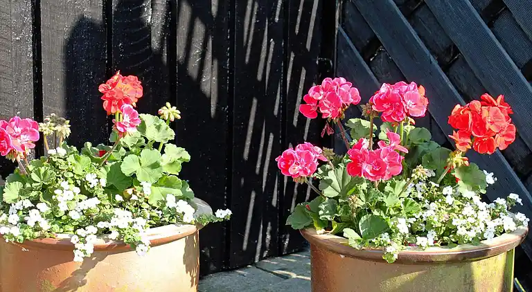 Holiday home in Diernæs Strandby