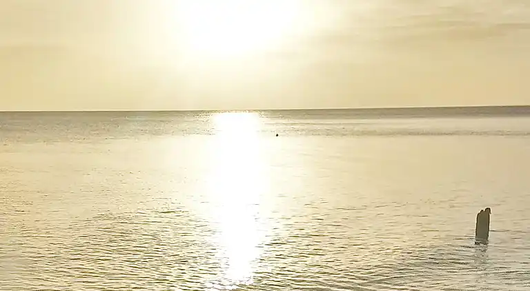 Sommerhus ved Mommark Strand