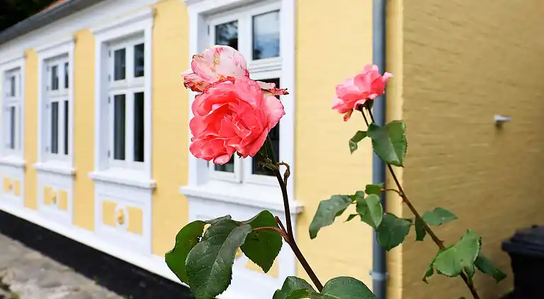 Ferienhaus in Marstal