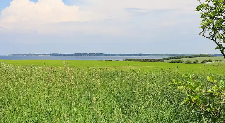 Sommerhus i Vinderup