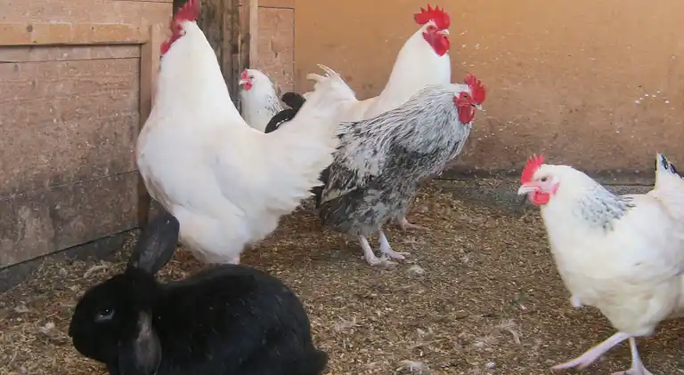 Vakantiehuis in Ibestad