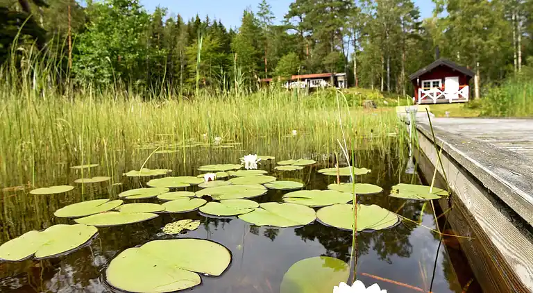 Sommerhus i Södra Kärra