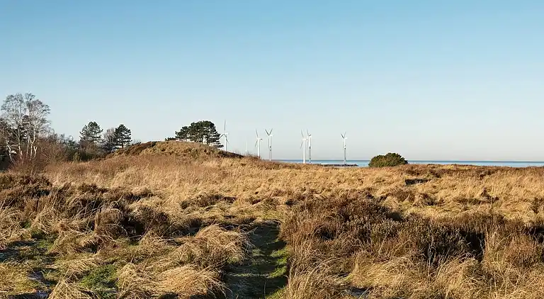Sommerhus ved Bønnerup Strand
