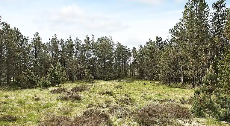 Holiday home in Jerup