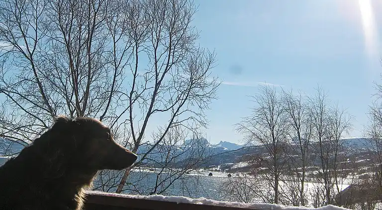 Vakantiehuis in Ibestad