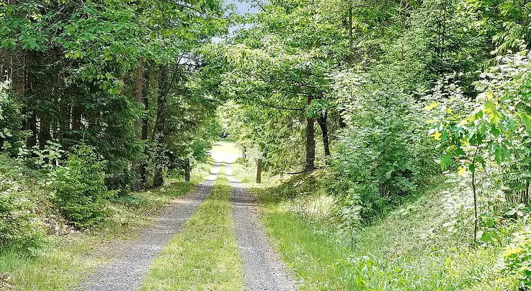 Sommerhus i Ljungby V