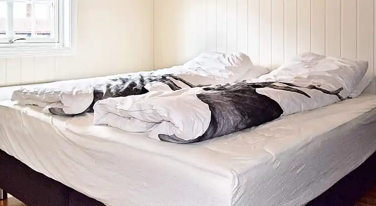 Holiday home in Åseral Municipality