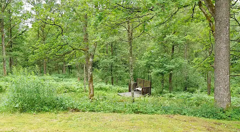 Holiday home in Röshult