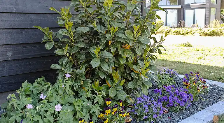 Sommerhus ved Mommark Strand