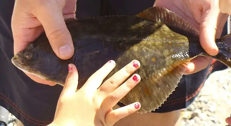 Casa vacanze in Gørlev