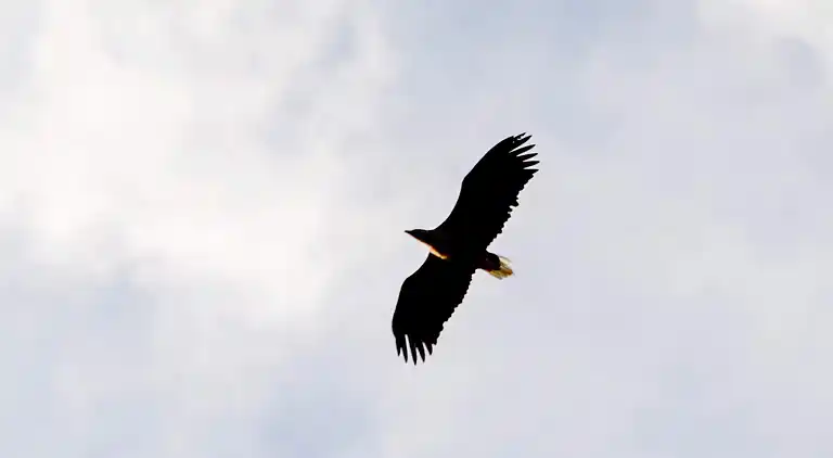 Vakantiehuis in Helland