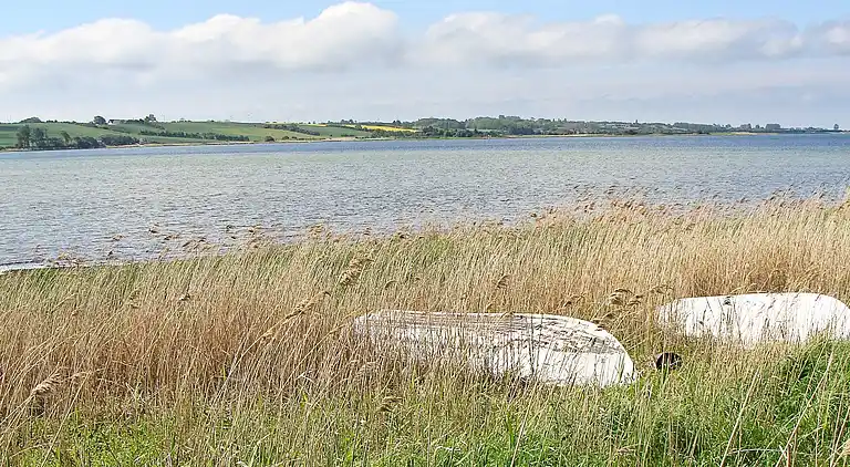 Holiday home in Millinge