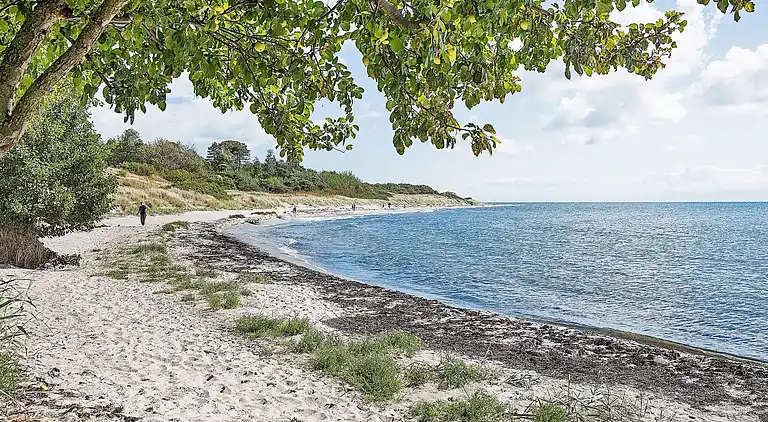 Sommerhus i Sømarken