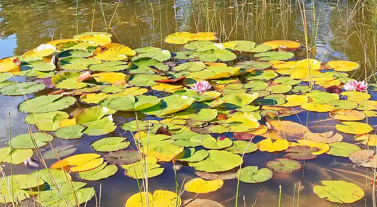 Holiday home in Skagen