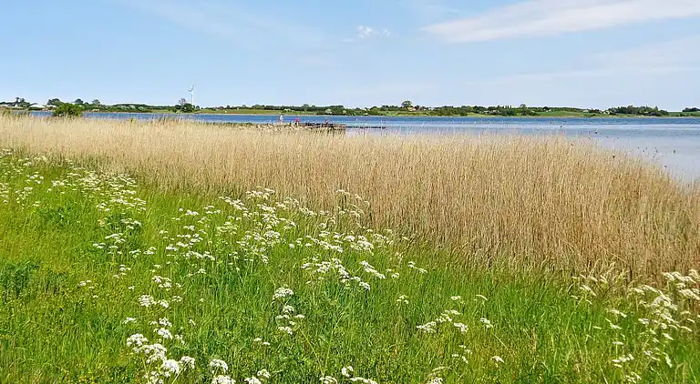 Holiday home in Stubbekobing