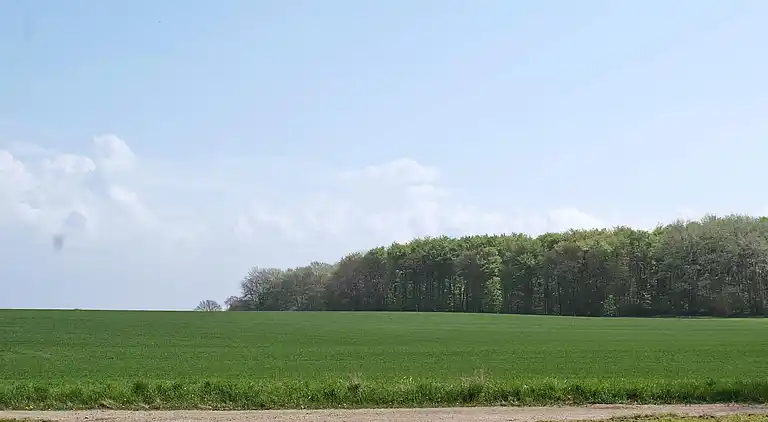 Holiday home in Tranekær