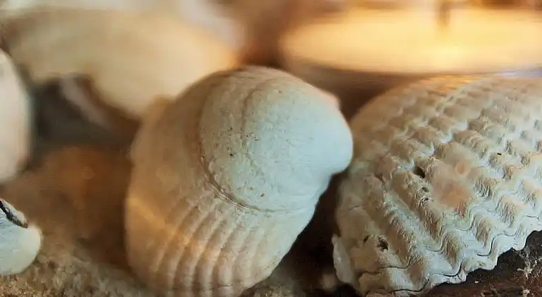 Holiday home in Ulfborg