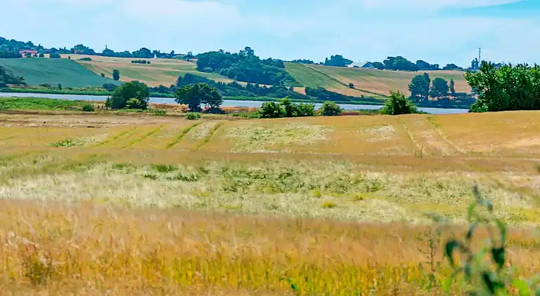 Holiday home in Millinge