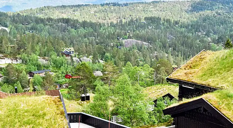 Holiday home in Åseral Municipality