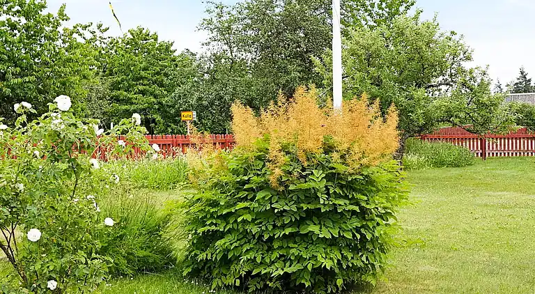 Vakantiehuis in Vetlanda N