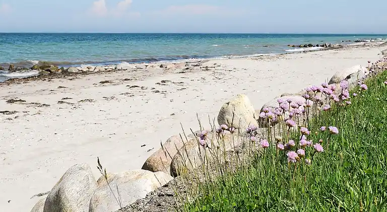 Casa vacanze in Otterup