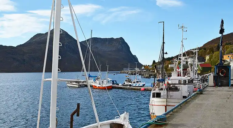 Holiday home in Torsken Municipality