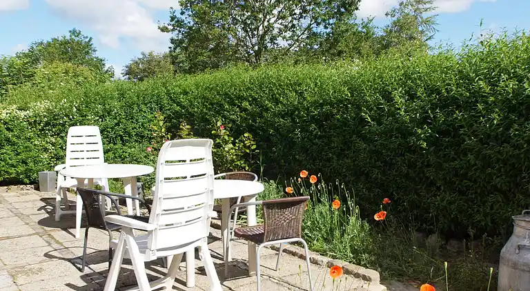 Sommerhus i Bork Havn