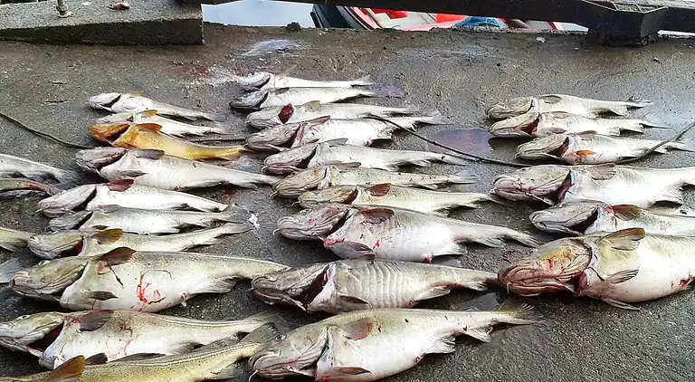 Holiday home in Vanylven