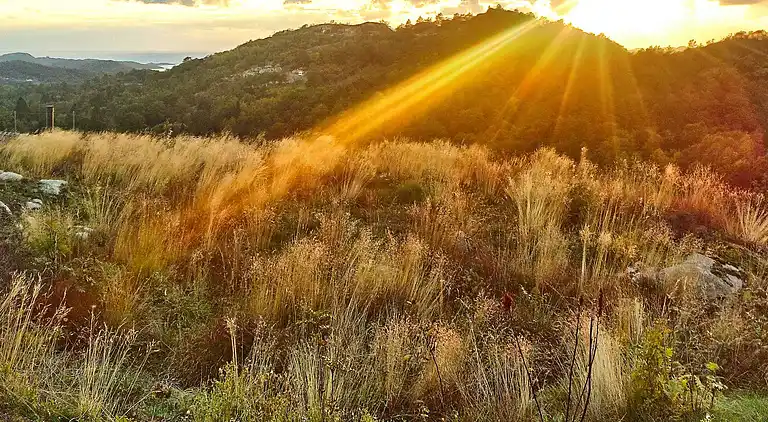 Holiday home in Belland